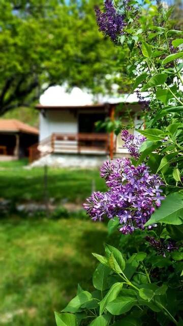Фото номера Вилла Виллы Kirilova House г. Pastra 74
